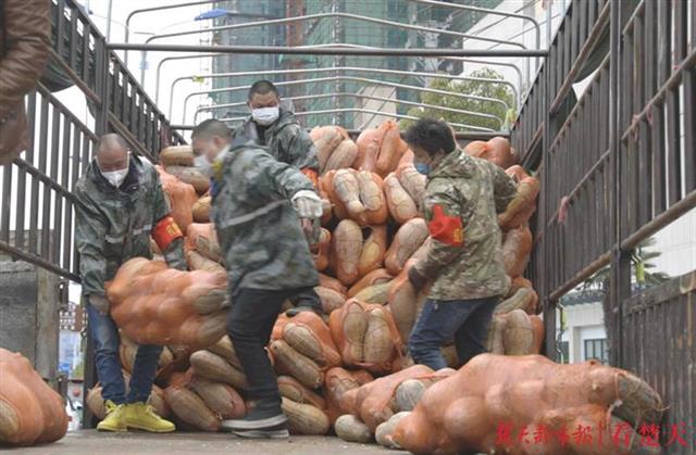 抖音网红牵线，20吨爱心蔬菜从广东运抵利川